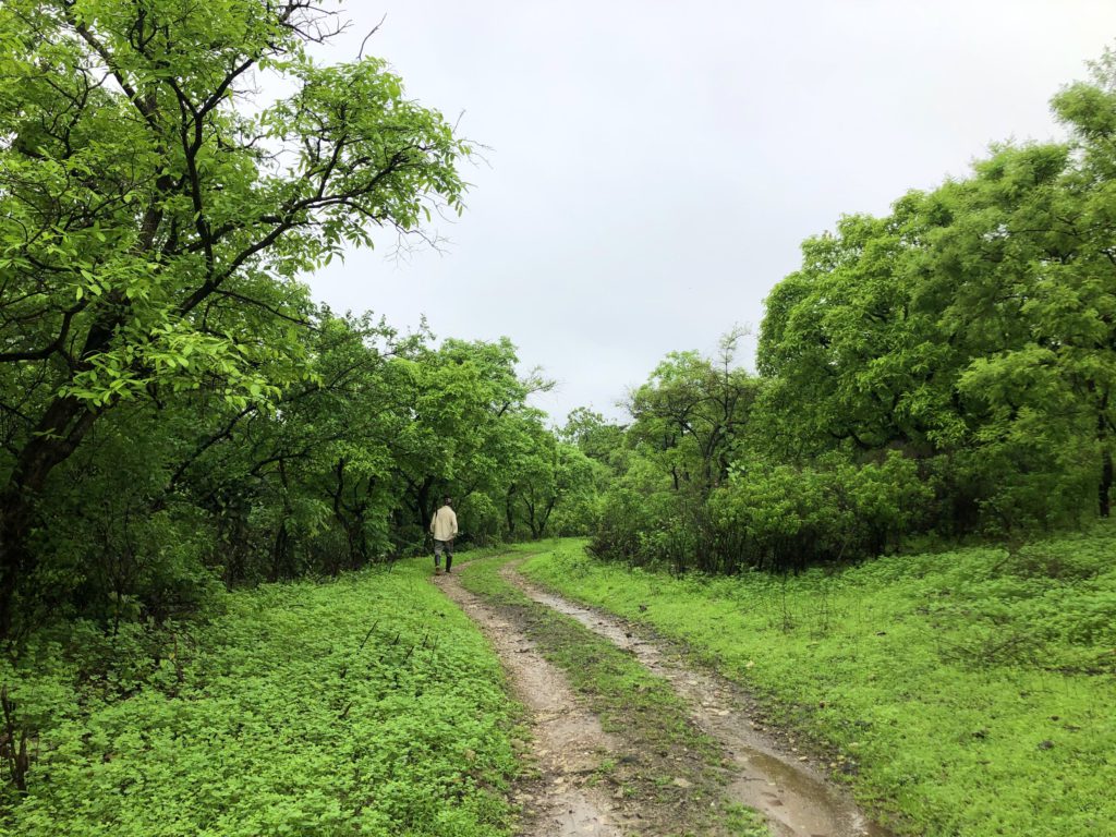 Wild Jai Farm path