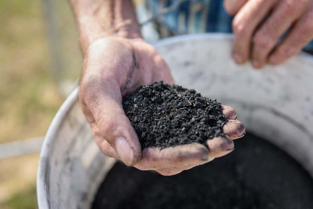 5 Regenerative Agriculture Practices Changing the Game - Producers Stories