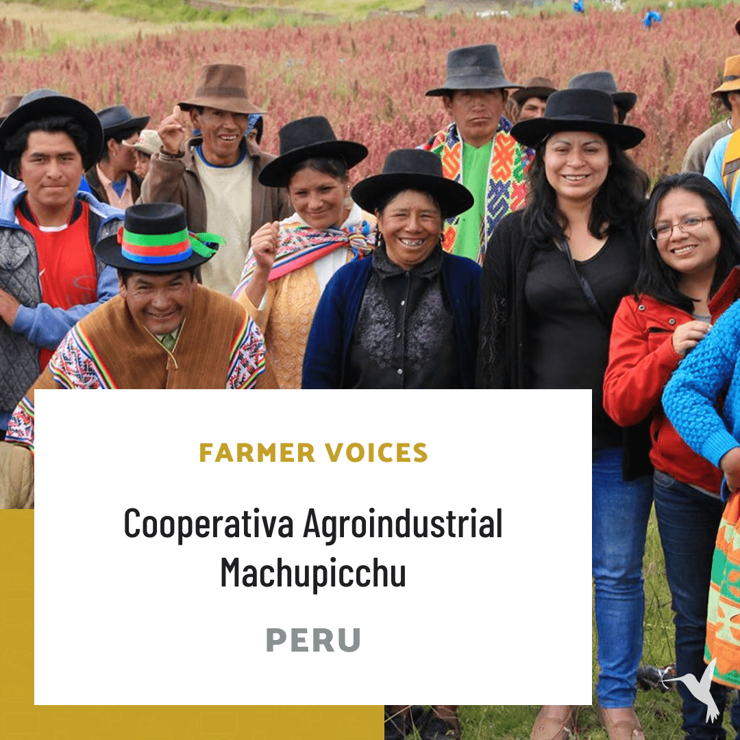 Cooperativa Agroindustrial Machupicchu