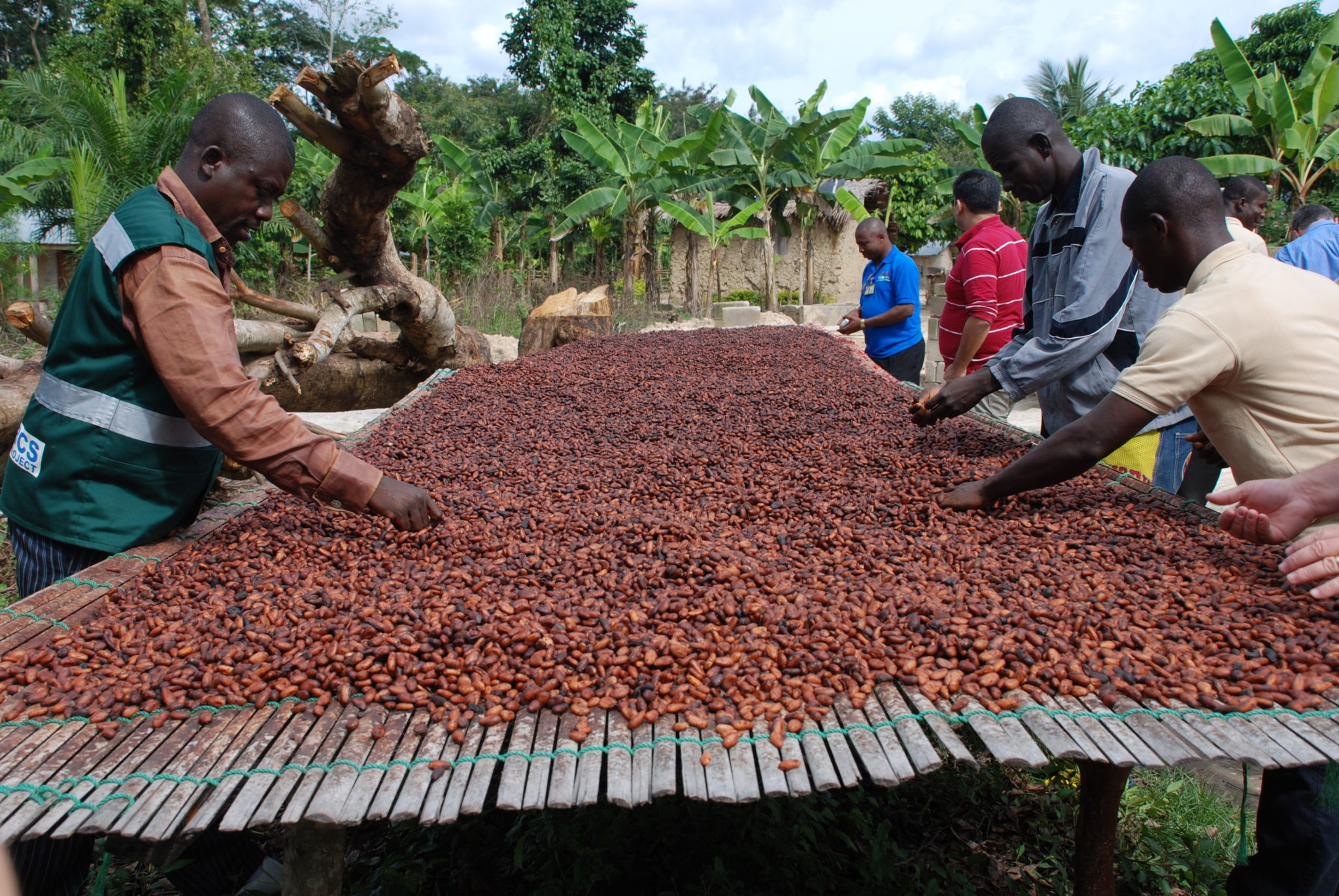 Cacao and the Chocolate Industry Producers Stories