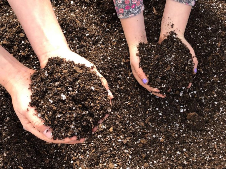 How Important is Soil Health?