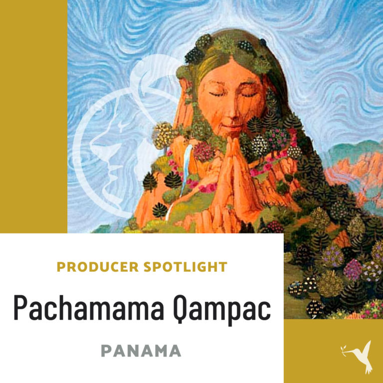 Producer Spotlight: Pachamama Qampac