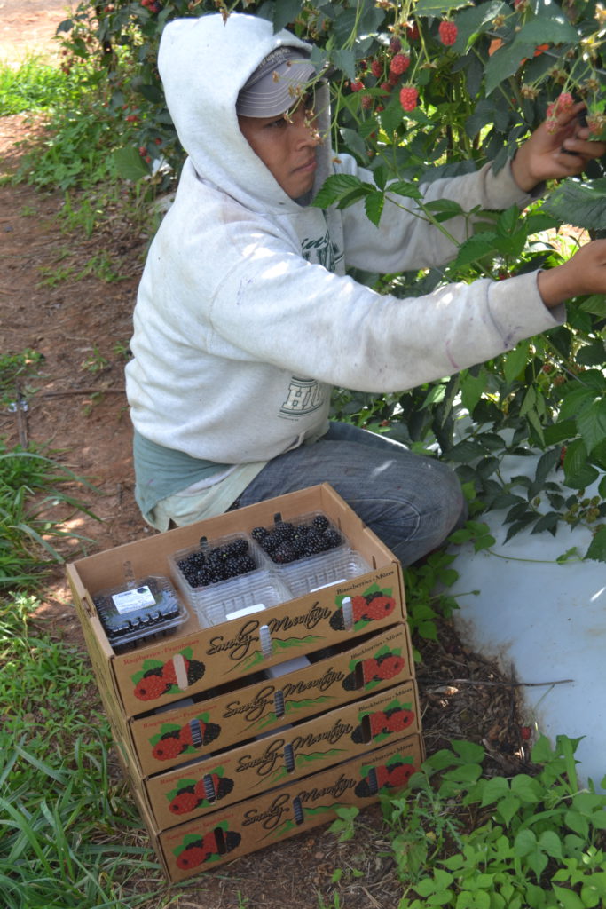 1-vecinos-683x1024
