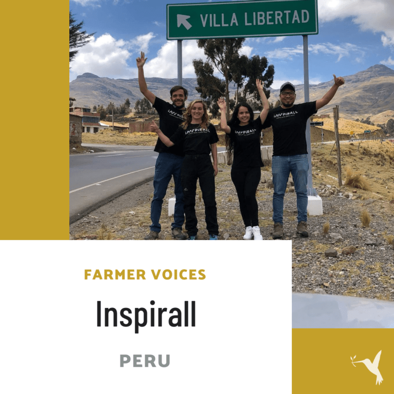 Inspirall: Spirulina for Inspiration & Connection