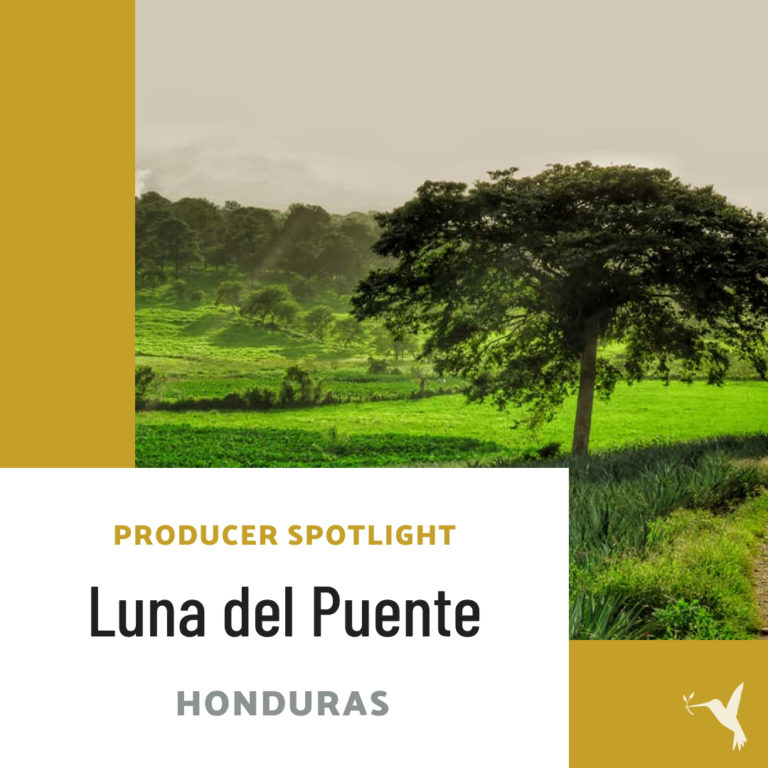 Producer’s Spotlight: Luna del Puente