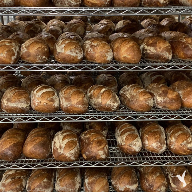 Sourdough Bread: Is It Worth All the Hype?