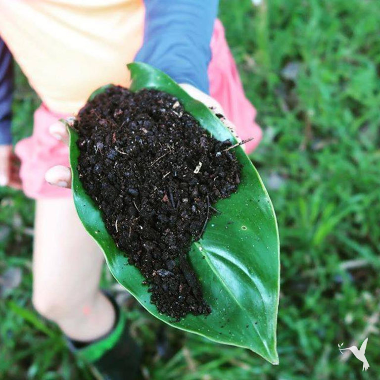 Sustainable Farming Techniques for Everyone