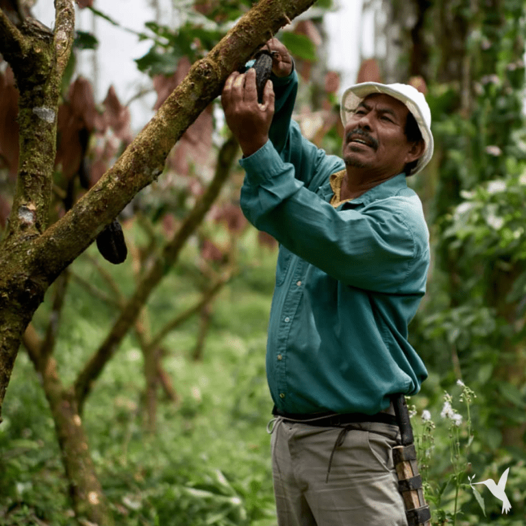 Enjoying Labor Day by Honoring Those Who Keep Laboring