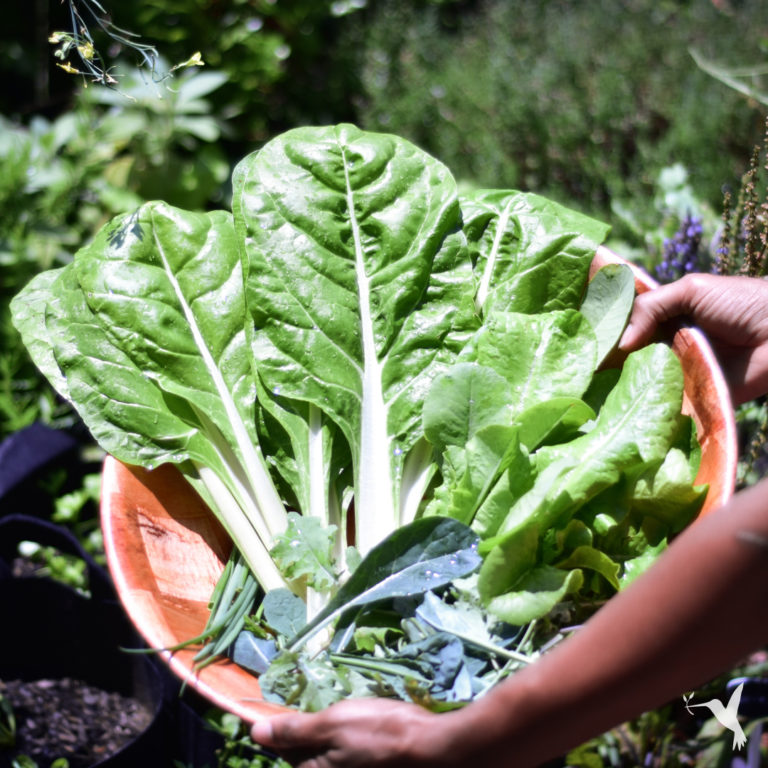 Organic: The Trend That Won’t Quit