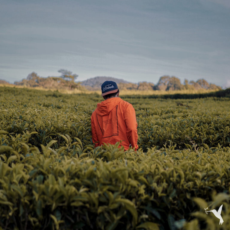 Remote Work, Agriculture & the Food Industry