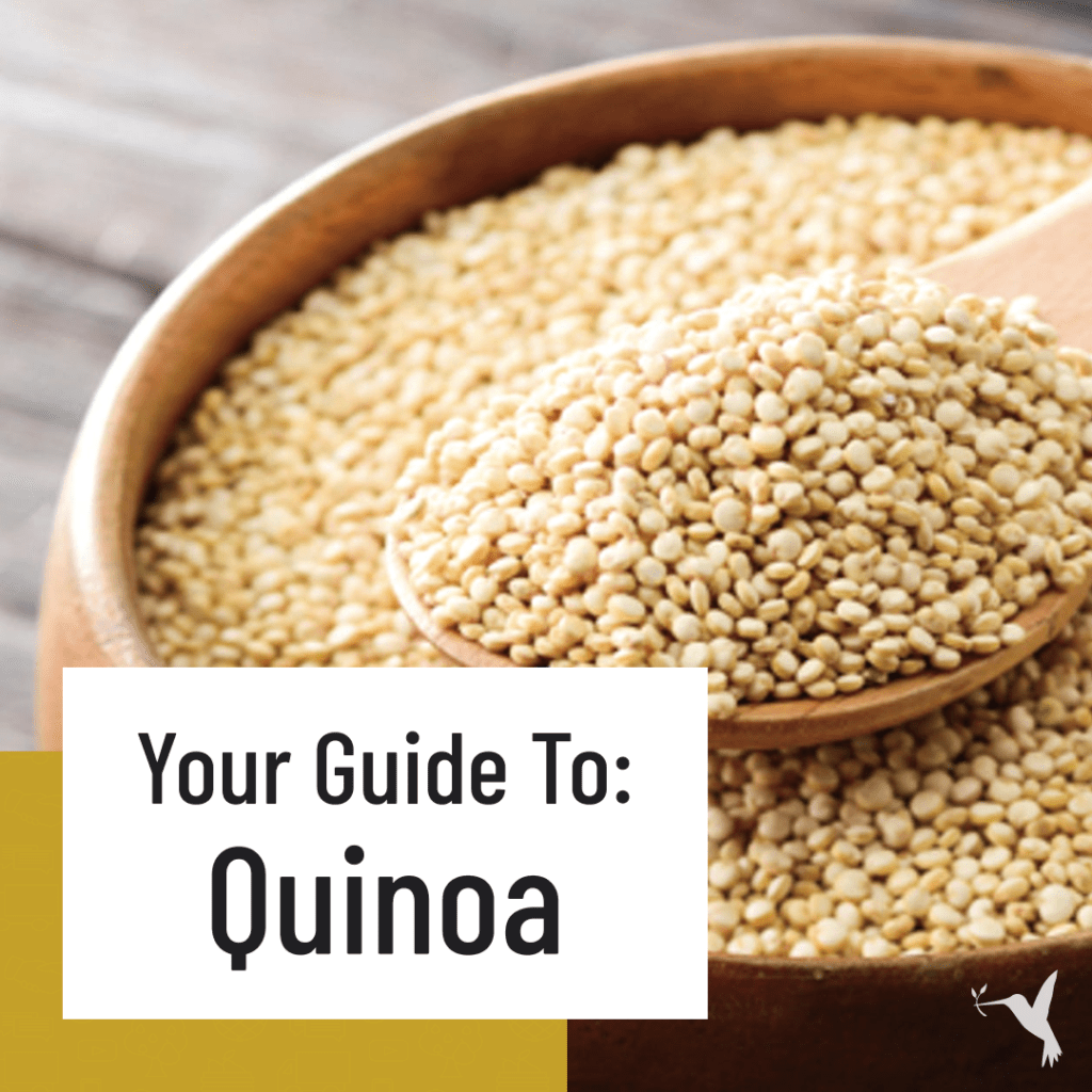 How to Use Quinoa: Everything You Need to Know - Producers Stories
