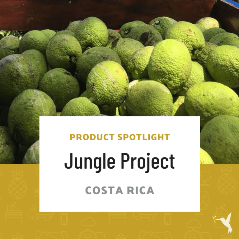 Product Spotlight: Breadfruit Superfood