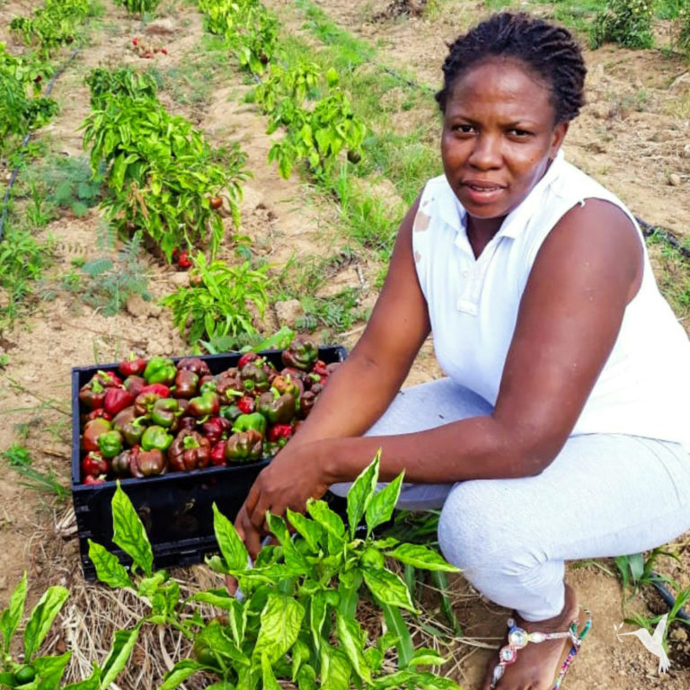 The Faces Behind the Food: Women in Agriculture