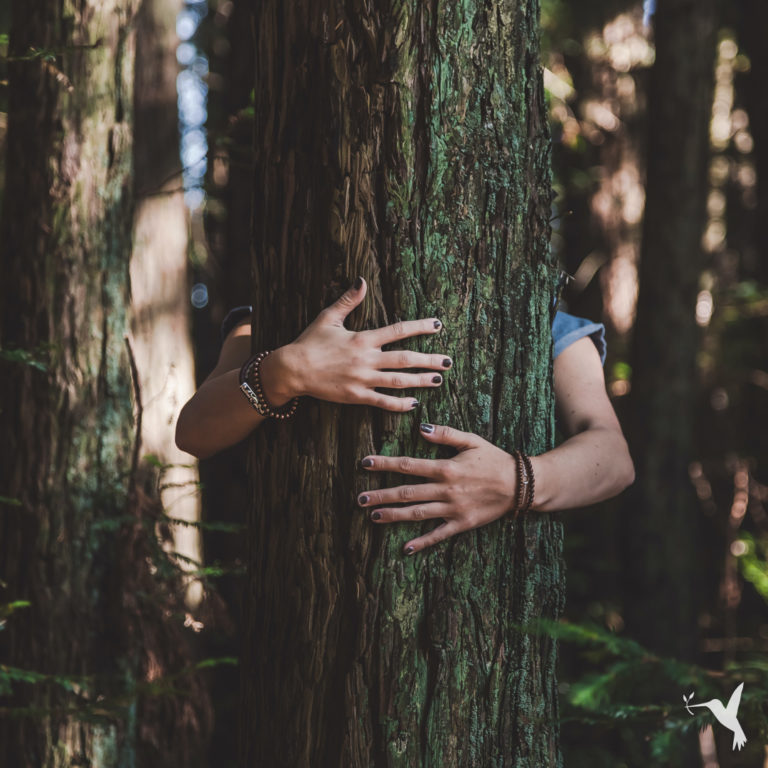 4 Easy Ways to Boost Mental Health