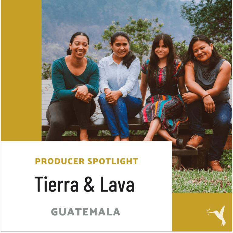 Producer Spotlight: Tierra and Lava