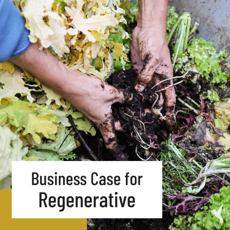 Looking for a Long-Term Investment? Try Regenerative Agriculture.