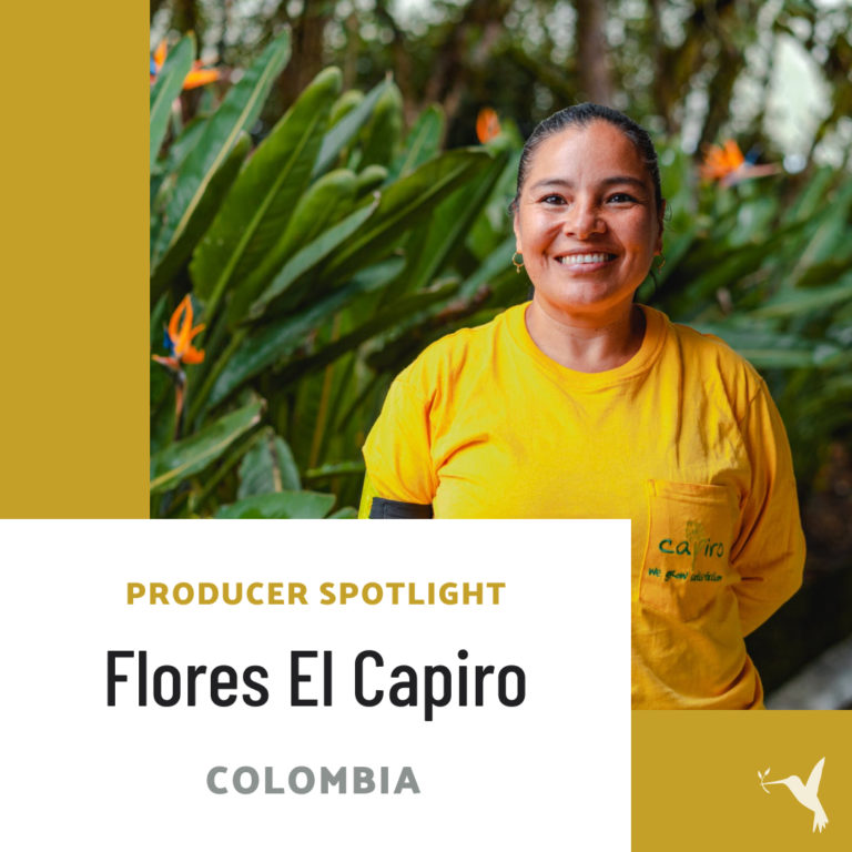 Flores El Capiro: Flowers, Women’s Empowerment, & Community