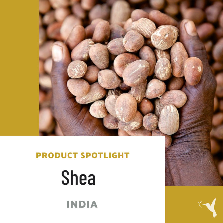 Shea Butter: A Product With Soul