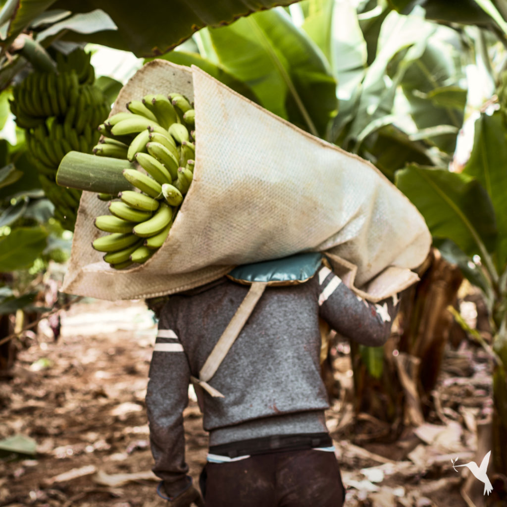 Farming-Is-Hard-Work -Cover-1024x1024