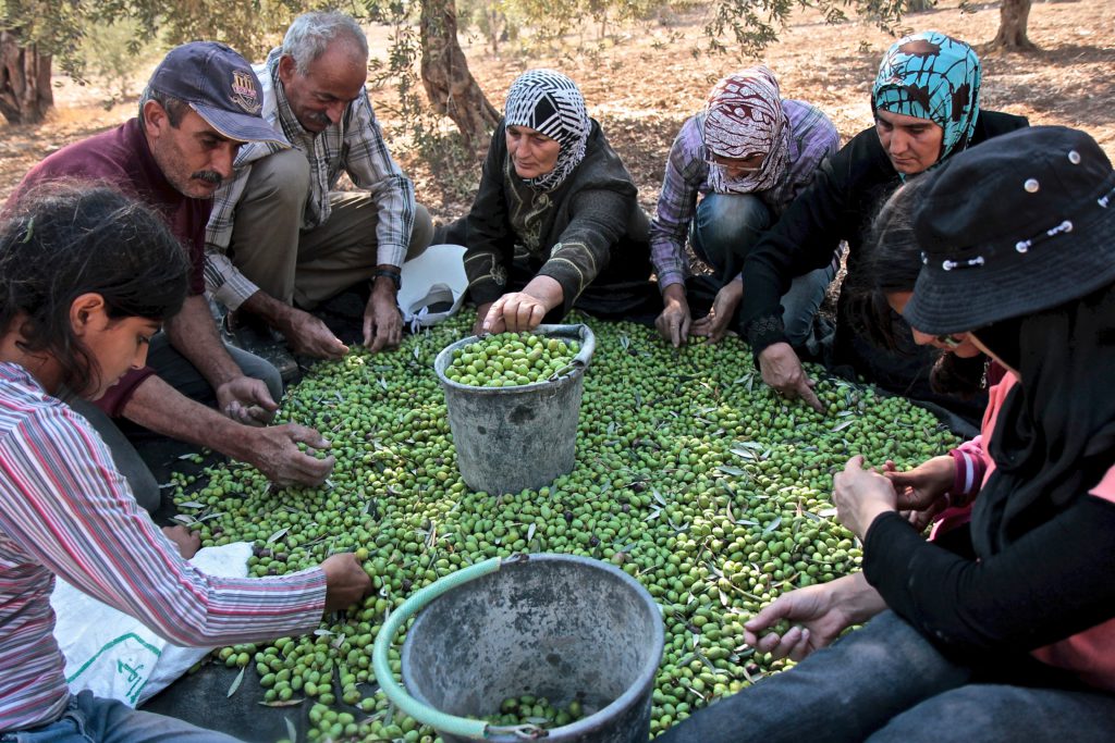 Canaan-Fair-Trade-Company-1024x683