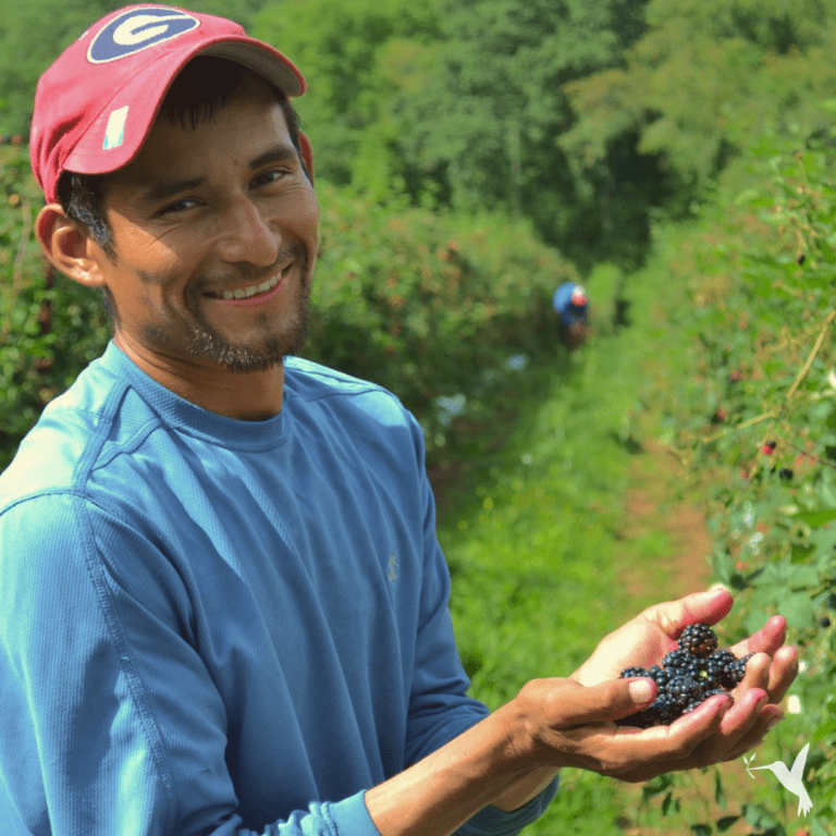 Farmworker Awareness Week & Why It Matters
