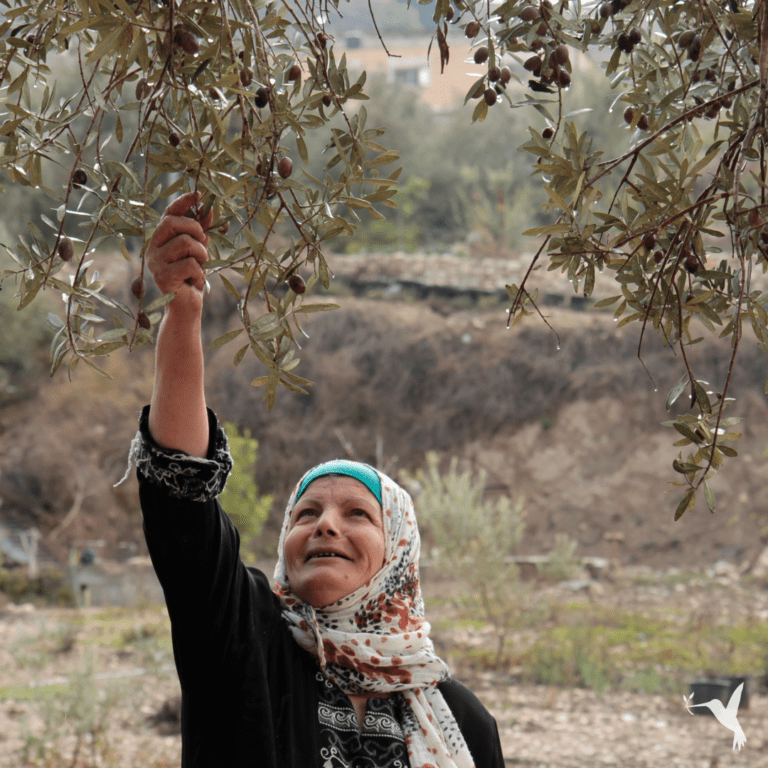 How Can Small Farmers Realize More Potential Value