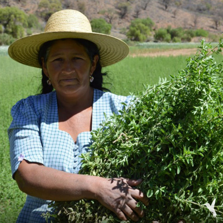 Our Most Innovative Experiment: 20% Equity for Small Farmers