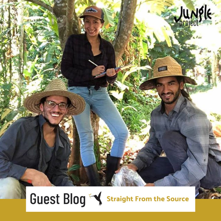 Plant Trees, Eat Breadfruit, & Regenerate Your Reality