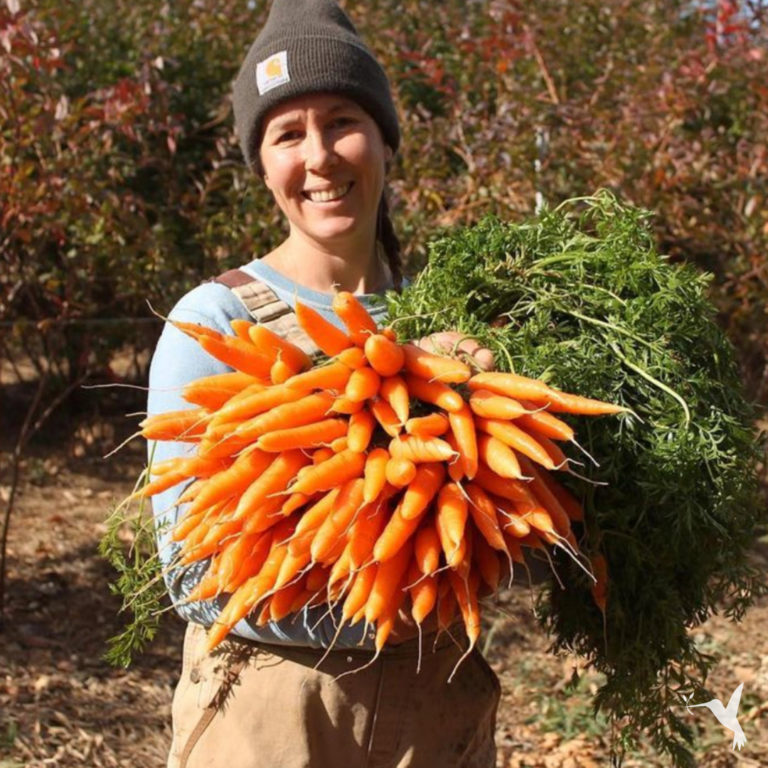 The Urgency For Regenerative Agriculture