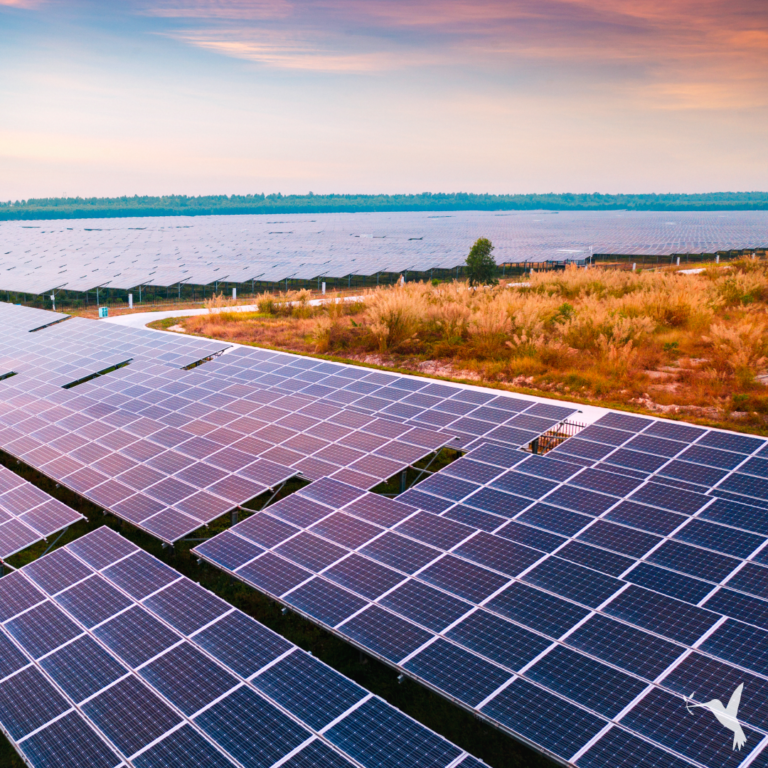 What Is Carbon Finance?