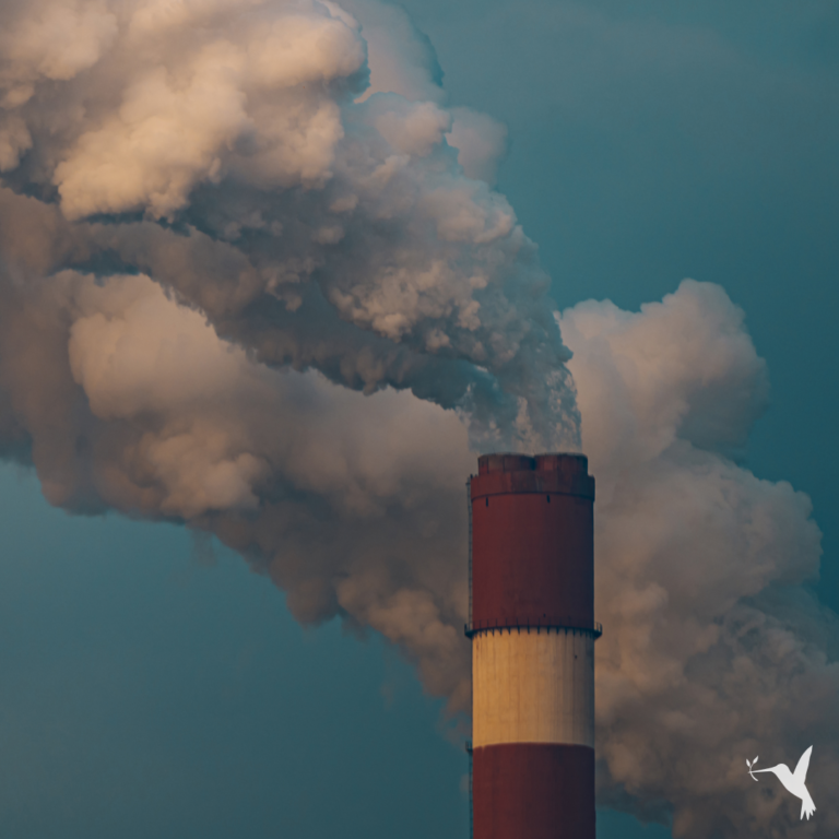 Unethical Supply Chains & How to Avoid Them