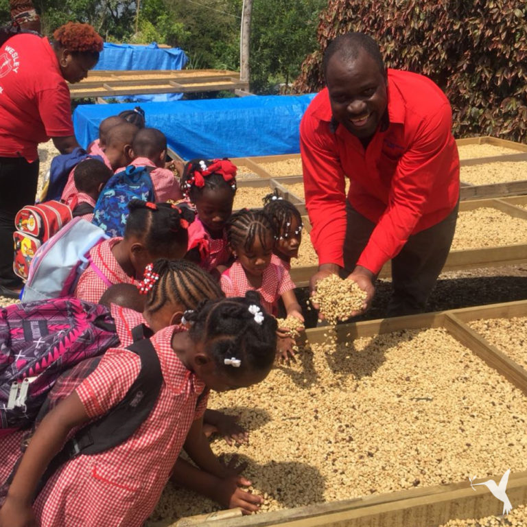 Jamaica: Pioneering Sustainable Projects in the Caribbean