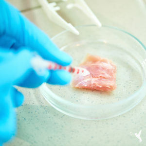 Lab-Grown Meat May Be A Climate Solution You Haven’t Considered