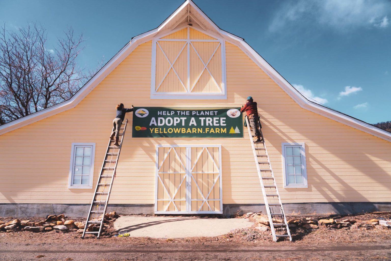 Producer Spotlight The Yellow Barn Farm Producers Stories