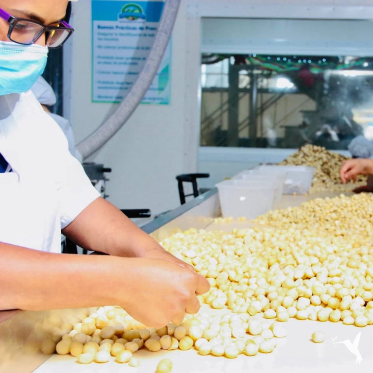 StoryBird: The Tool We Need to Escape the Organic vs Conventional Binary