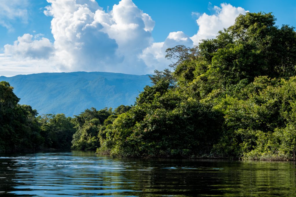 amazon-rainforest-2021-09-09-17-38-26-utc-1024x683