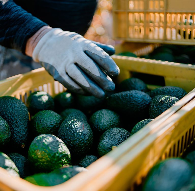 The Truth About Greenwashing