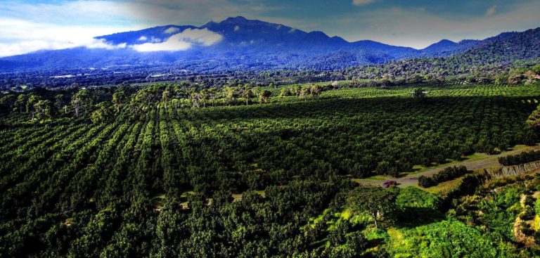 The Time Is Now for Climate Smart Supply Chains