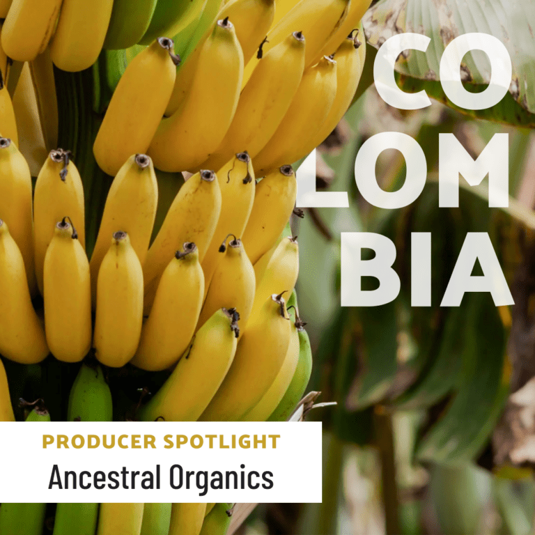 Producer Spotlight: Ancestral Organics