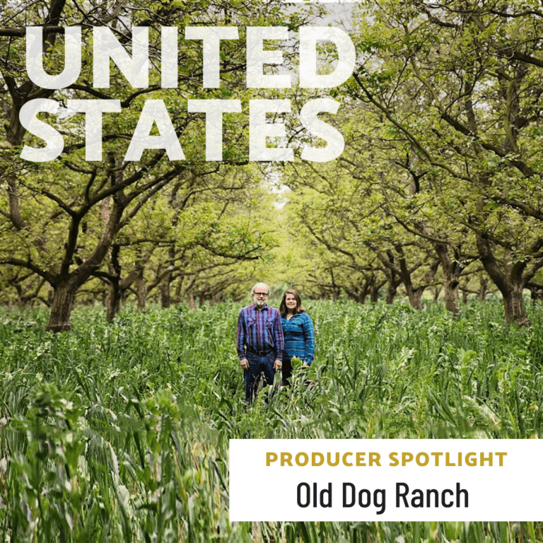 Producer Spotlight: Old Dog Ranch