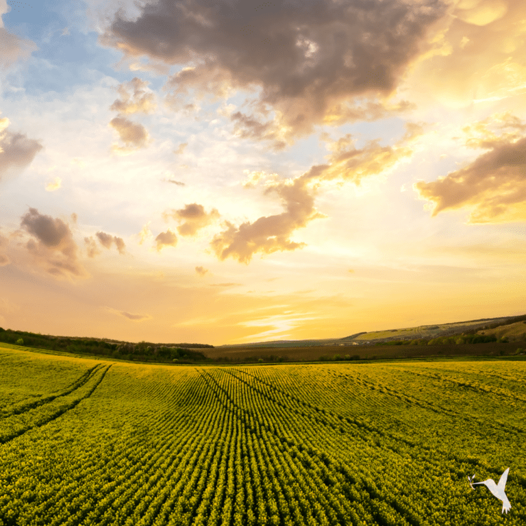 Two Indispensable Ingredients For Life on Earth