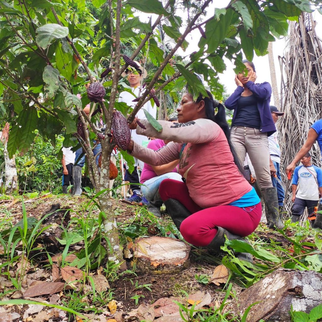 decolonize agriculture indigenous people biodiversity