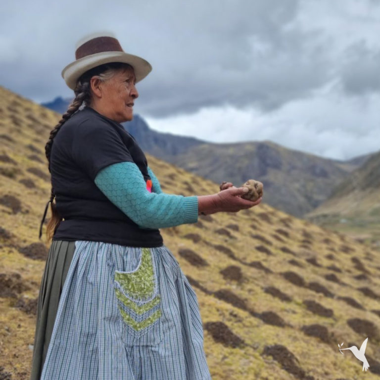 The Guardian of the Native Potatoes