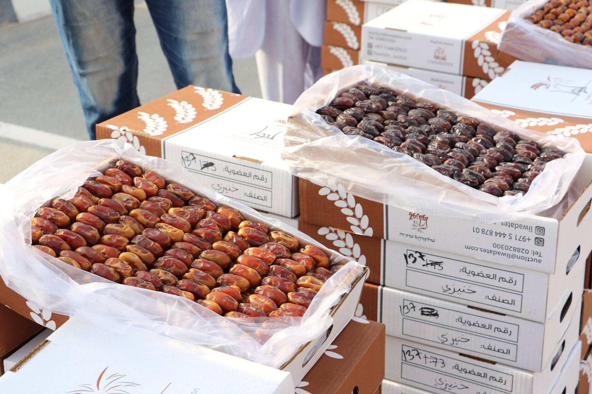 Producer Spotlight: Liwa Dates - Producers Stories