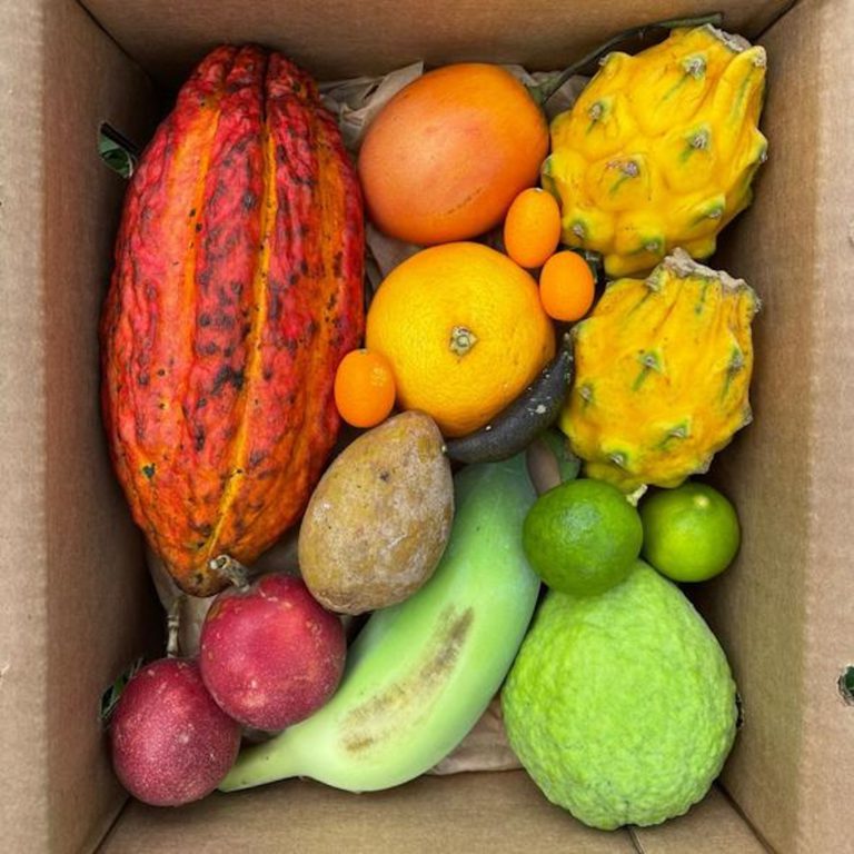 Can Veganism Really Save the World?